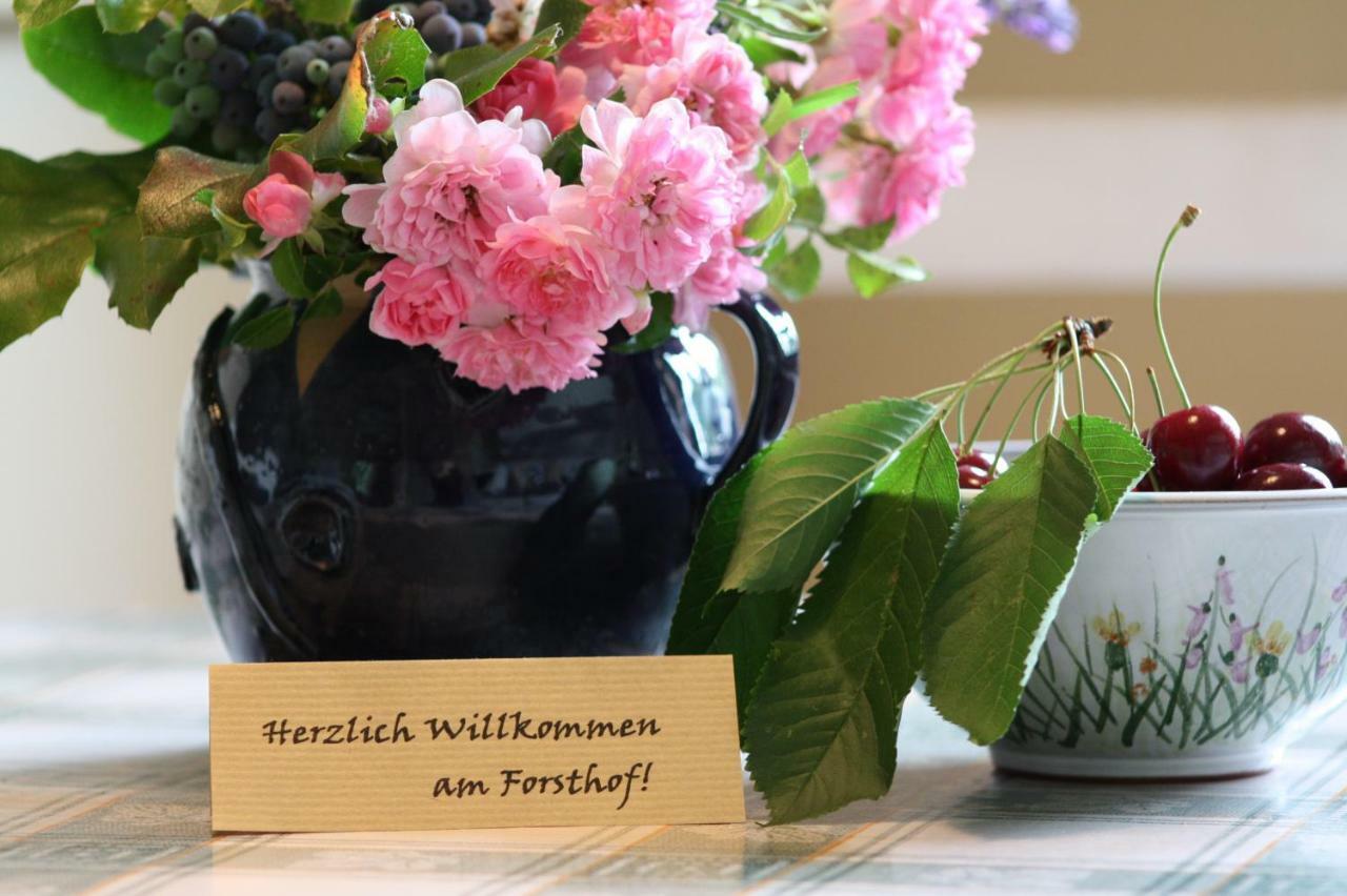 Forsthof Niendorf Apartment เทเทโรว์ ภายนอก รูปภาพ